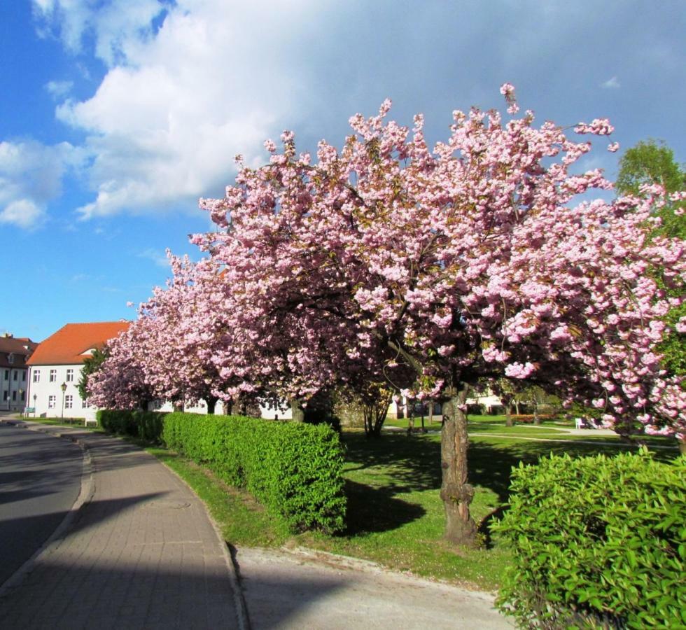 Kastanienhof Luebben Lägenhet Exteriör bild