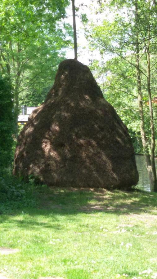 Kastanienhof Luebben Lägenhet Exteriör bild